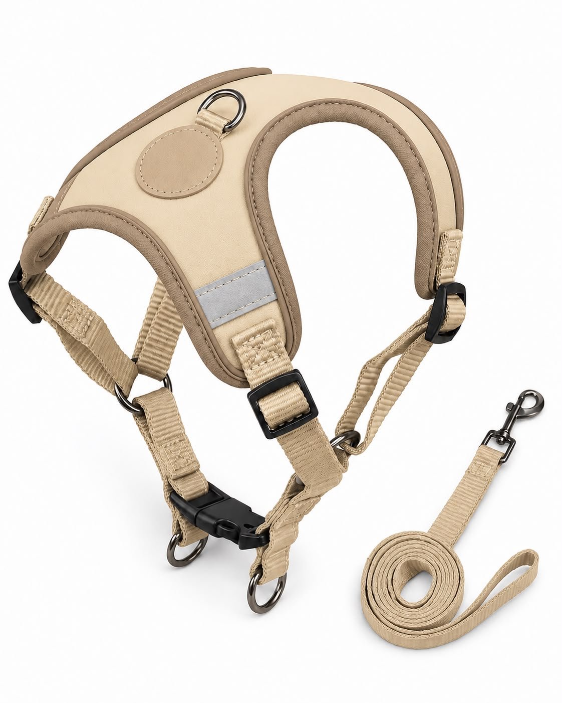 Accesorio Paw & Co. de muestra sobre fondo neutro